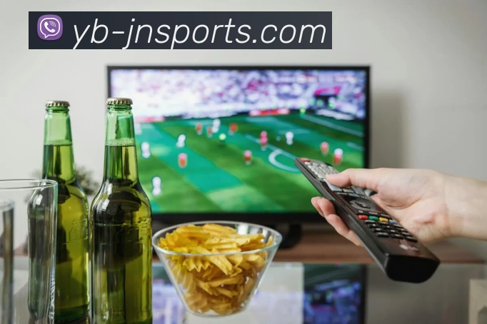 江南体育APP 封面图